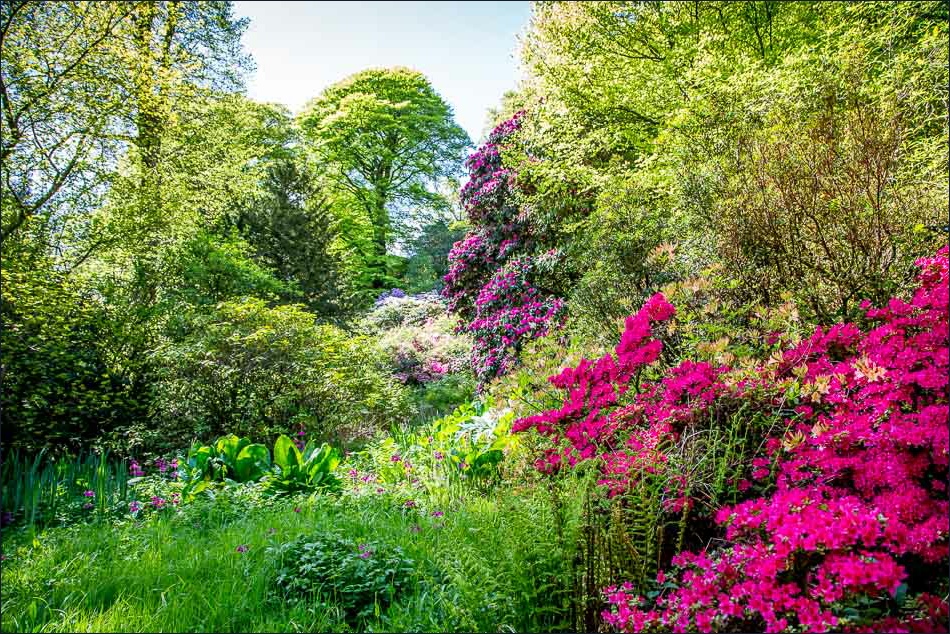 At Muncaster Castle (3)
